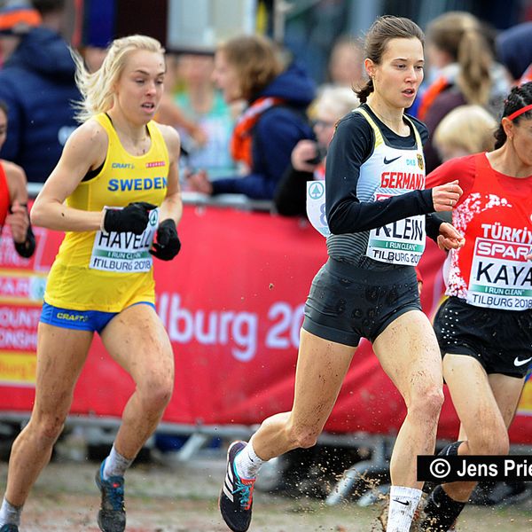 Cross-Europameisterschaften am 9. Dezember 2018 in Tilburg