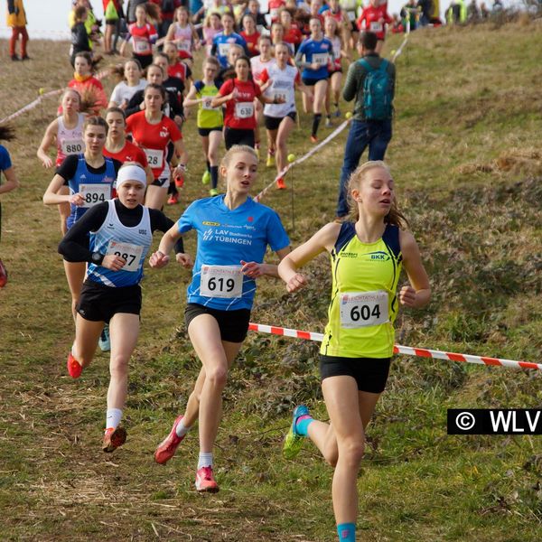 Baden-Württembergische Crosslauf-Meisterschaften am 15. Februar 2020 in Weinstadt